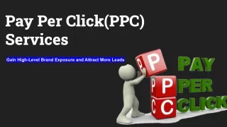 PPC Services