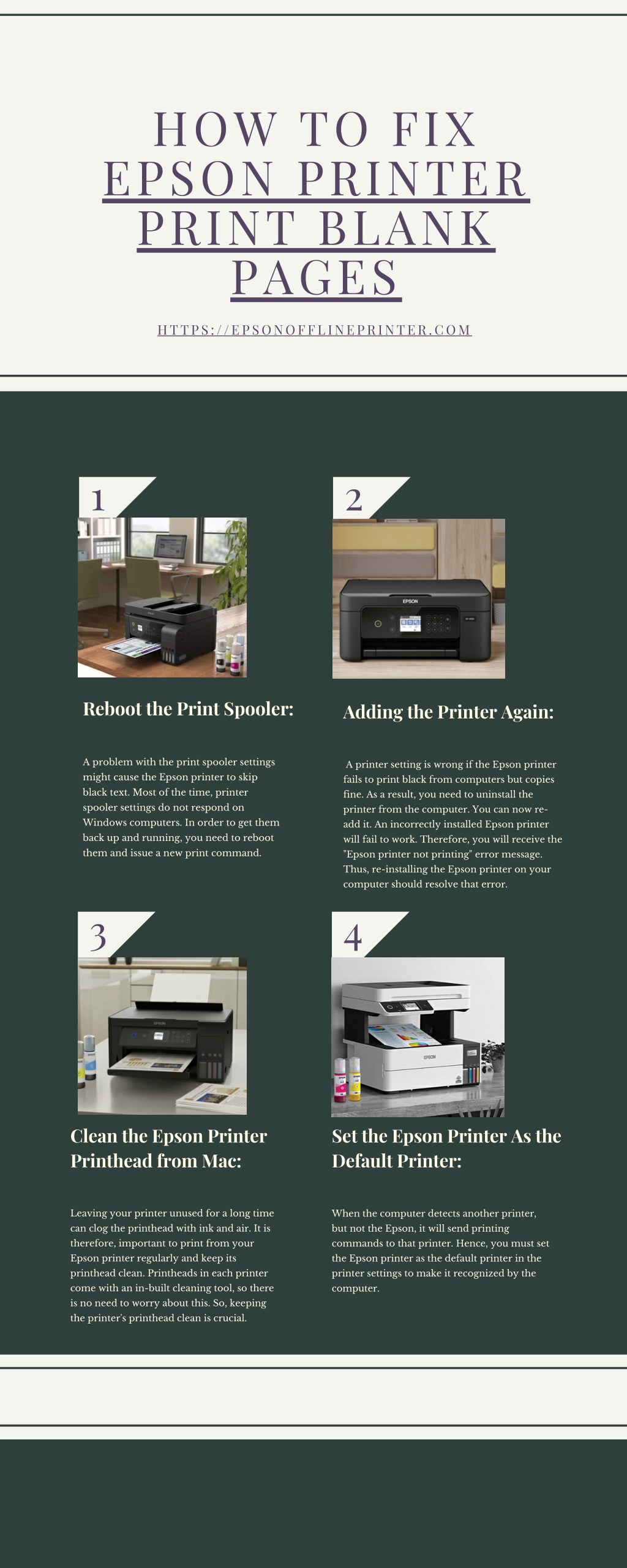PPT - How to Fix Epson Printer print blank pages PowerPoint ...
