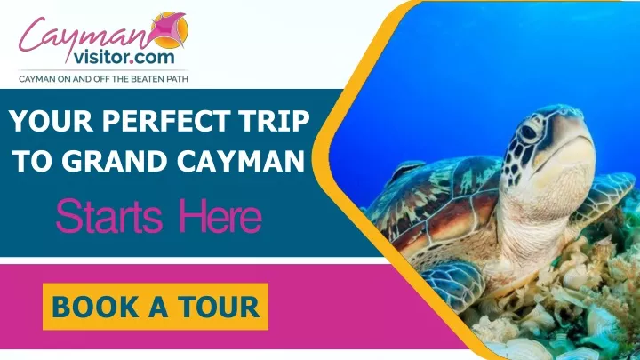 your perfect trip to grand cayman starts here