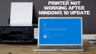 Troubleshooting Methods to Fix Printer Not Working After Windows 10 Update
