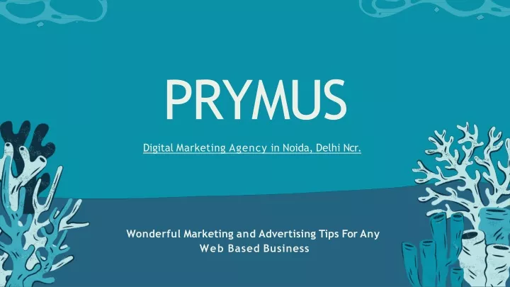 prymus dig ital marketing agency in noida delhi ncr