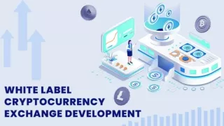 White Label Crypto Exchange Development - Coin Developer India