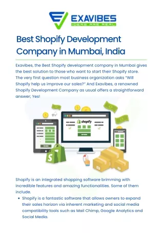 Best Shopify Development Company - Exavibes