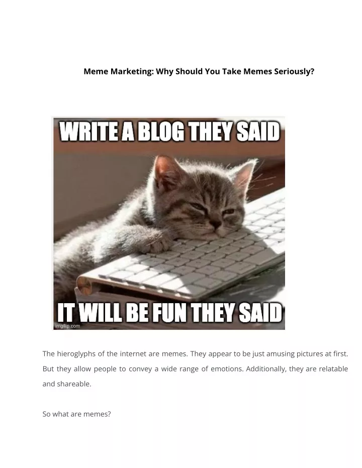 meme marketing why should you take memes seriously
