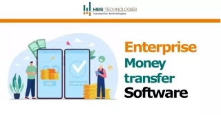 Provide In The Best Enterprise Money Transfer Software Platform - HBS Technologies!