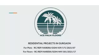 Ace Palm Floors - Residential Projects in Gurgaon