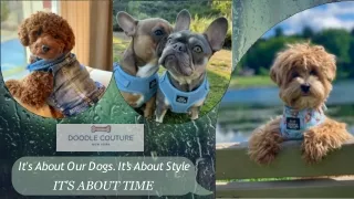 It's About Our Dogs, It's About Style, It's About Time - Doodle Couture