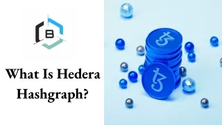 what is hedera hashgraph