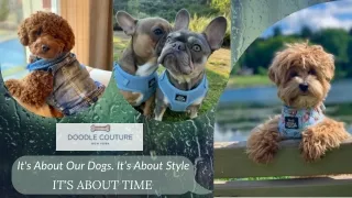 It's About Our Dogs, It's About Style, It's About Time - Doodle Couture