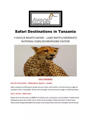 Safari Destinations in Tanzania