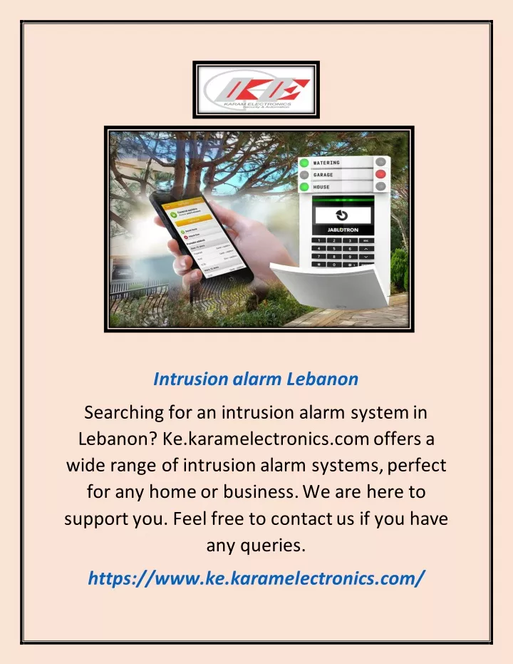 intrusion alarm lebanon