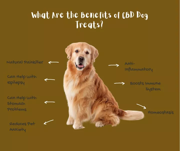 what are the benefits of cbd dog treats