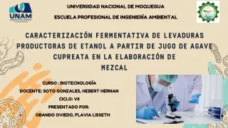 CARACTERIZACIÓN FERMENTATIVA DE LEVADURAS PRODUCTORAS DE ETANOL A PARTIR DE JUGO