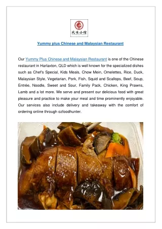 yummy plus chinese and malaysian restaurant