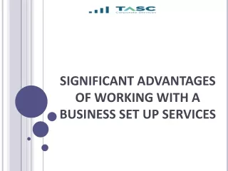 SIGNIFICANT ADVANTAGES OF WORKING WITH A BUSINESS SET UP SERVICES