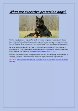 what are executive protection dogs