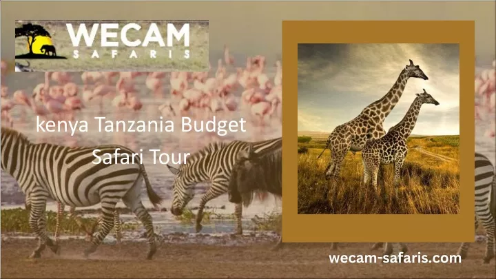 kenya tanzania budget safari tour
