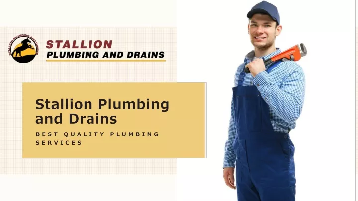 stallion plumbing and drains