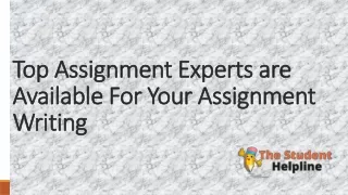 Best Assignment Experts in UK