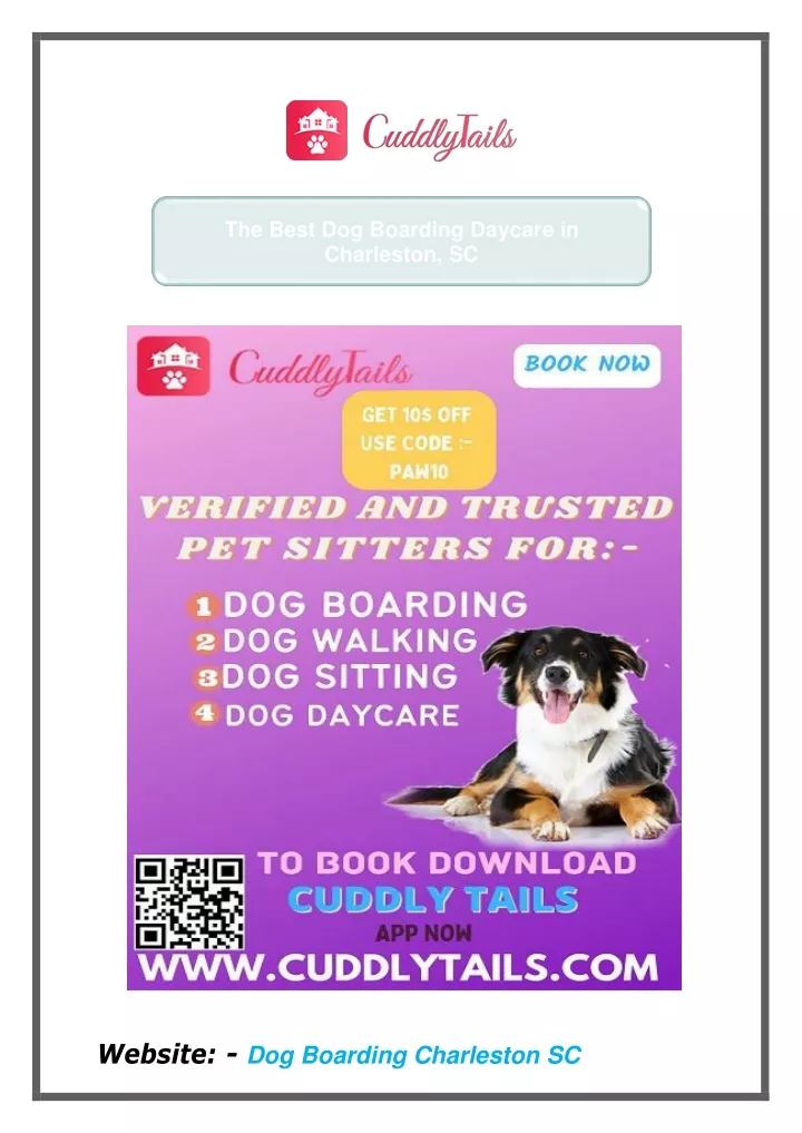 the best dog boarding daycare in charleston sc