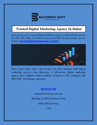 Trusted Digital Marketing Agency In Dubai  Backergysoft