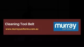 cleaning tool belt