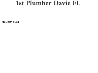 1st Plumber Davie FL