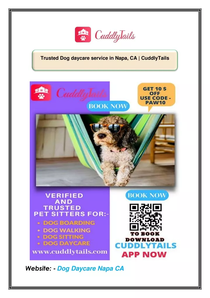 trusted dog daycare service in napa ca cuddlytails