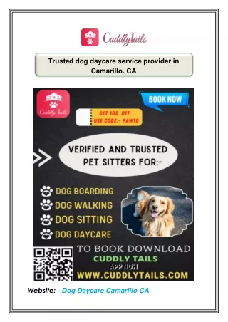 trusted dog daycare service provider in camarillo