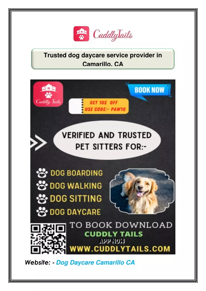 trusted dog daycare service provider in camarillo