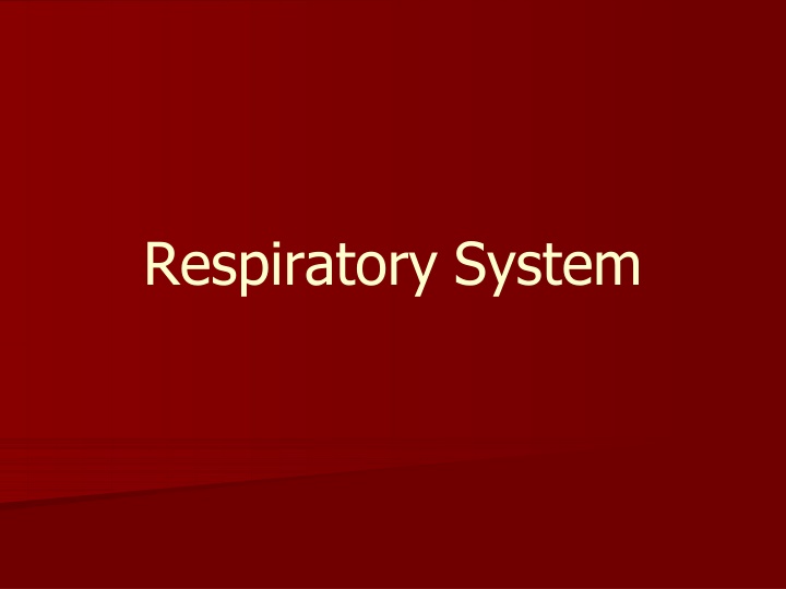 respiratory system