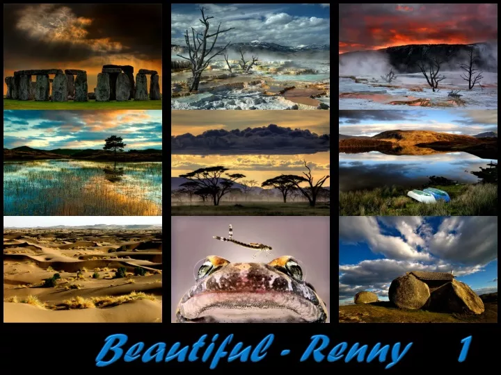 beautiful renny