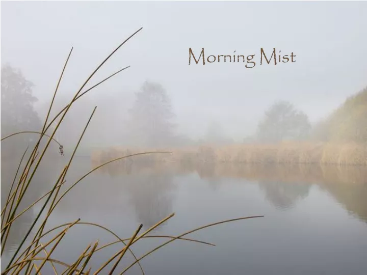 morning mist