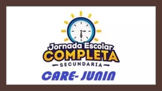 FUNCIONES CARE 2020_JUNIN