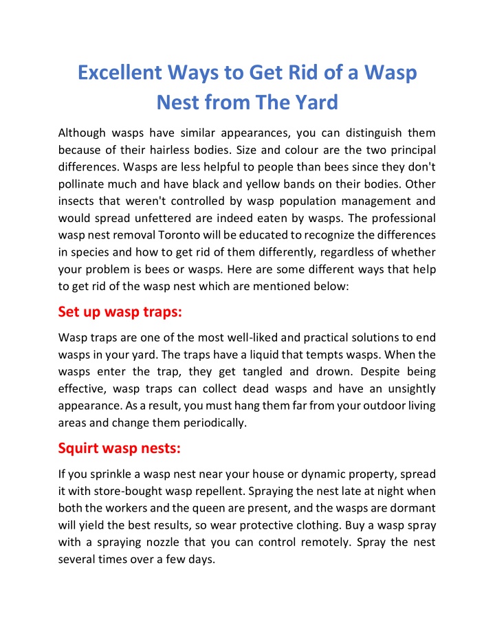 excellent ways to get rid of a wasp nest from