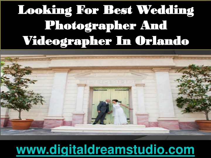 looking for best wedding photographer