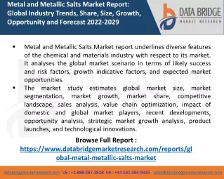Metal and Metallic Salts Market