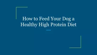 How to Feed Your Dog a Healthy High Protein Diet