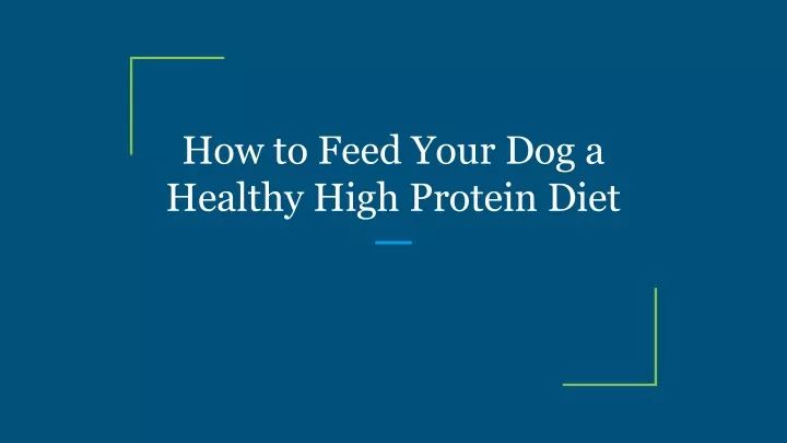 how to feed your dog a healthy high protein diet