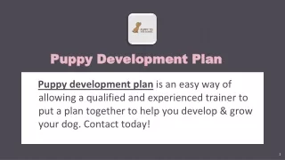 Puppy Development Plan