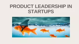 Product Leadership in startups