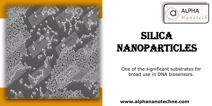 silica nanoparticles