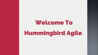 Hummingbird Courses