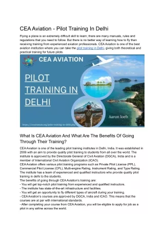CEA Aviation - Best Pilot Training In Delhi