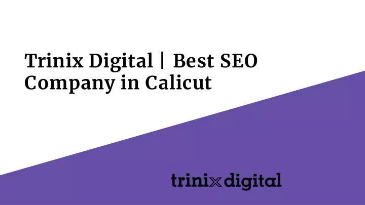 trinix digital best seo company in calicut