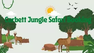 Corbett Jungle Safari Booking