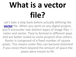 what is a vector file