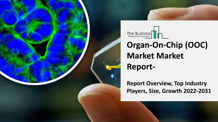 organ on chip ooc market market report report