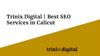 trinix digital best seo services in calicut