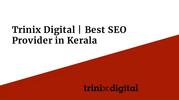 trinix digital best seo provider in kerala